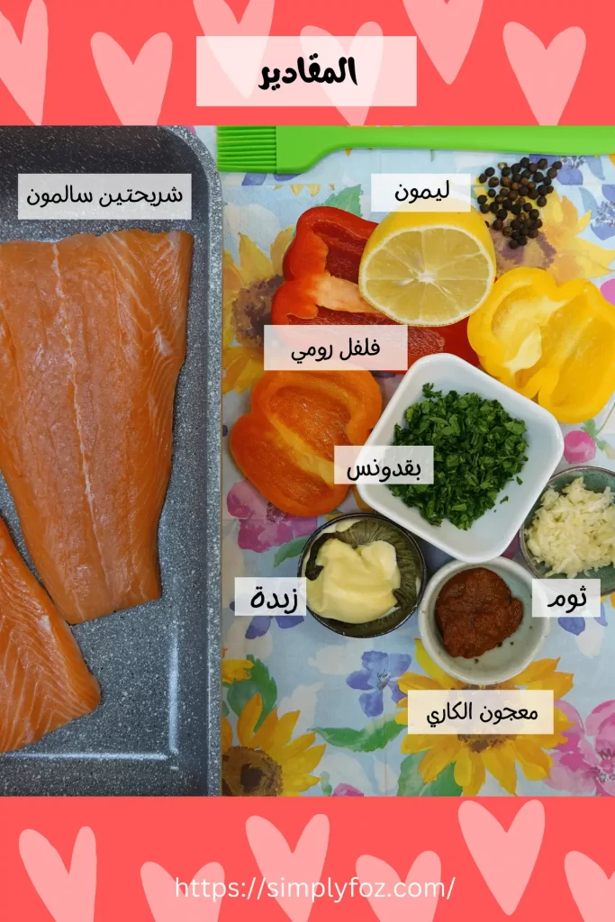 Salmon fillets 1