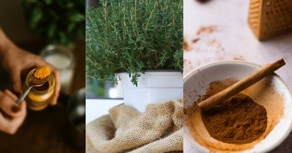 Little Helpers for Your Daily Cooking